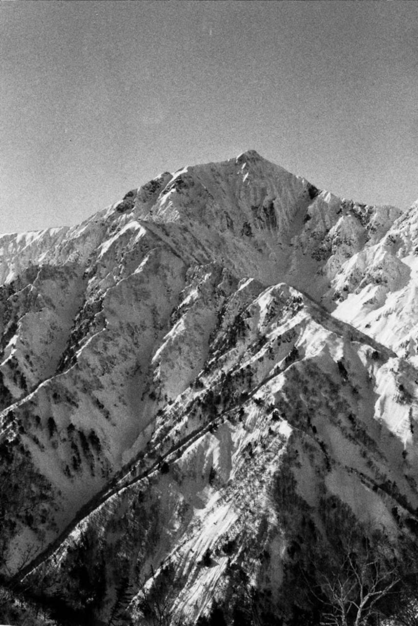 Auberge de jeunesse The Bohemians' Shelter à Hakuba Extérieur photo